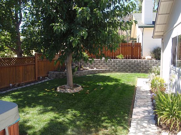 Back yard