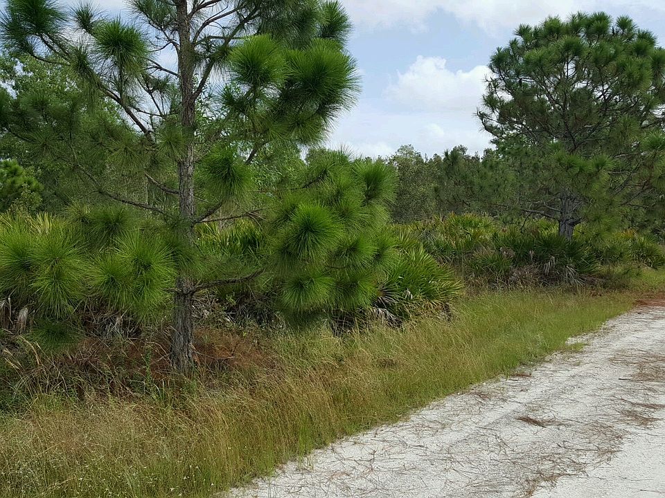 Looking NE  