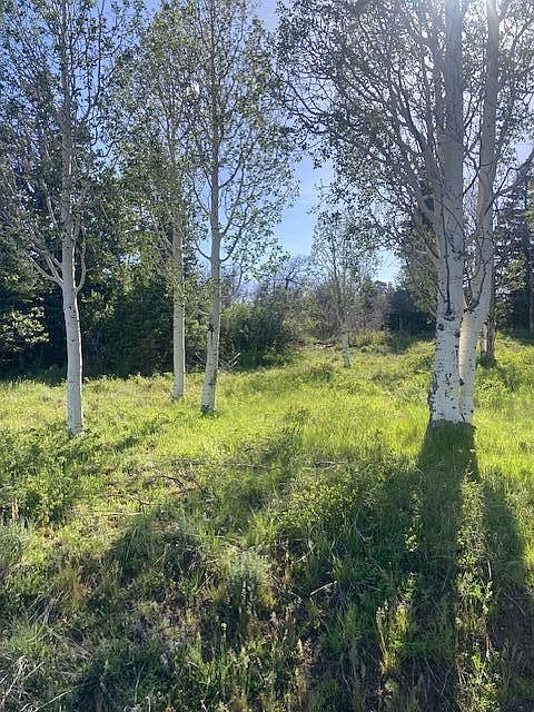 1st image of 271 N Whispering Pines Rd