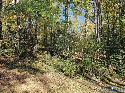 2614 Perkinsville Rd, Maidens, VA, 23102