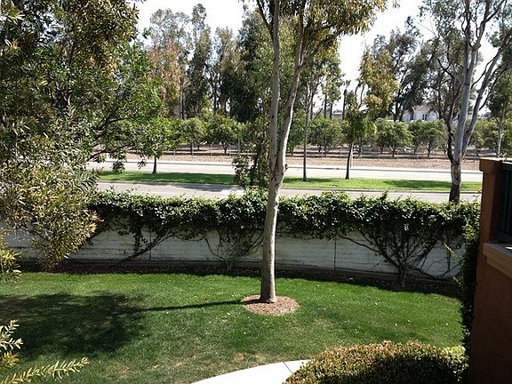 Greenbelt in front of the condo