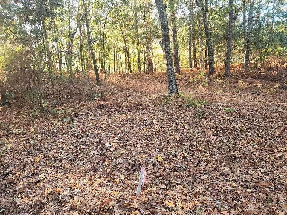 2nd image of 0 Williams Dr Lot 17