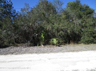 0 David Dr, Brooksville, FL 34613