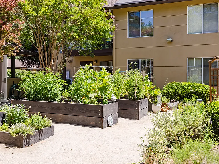 Enjoy fresh air and fresh produce in this vibrant community garden.