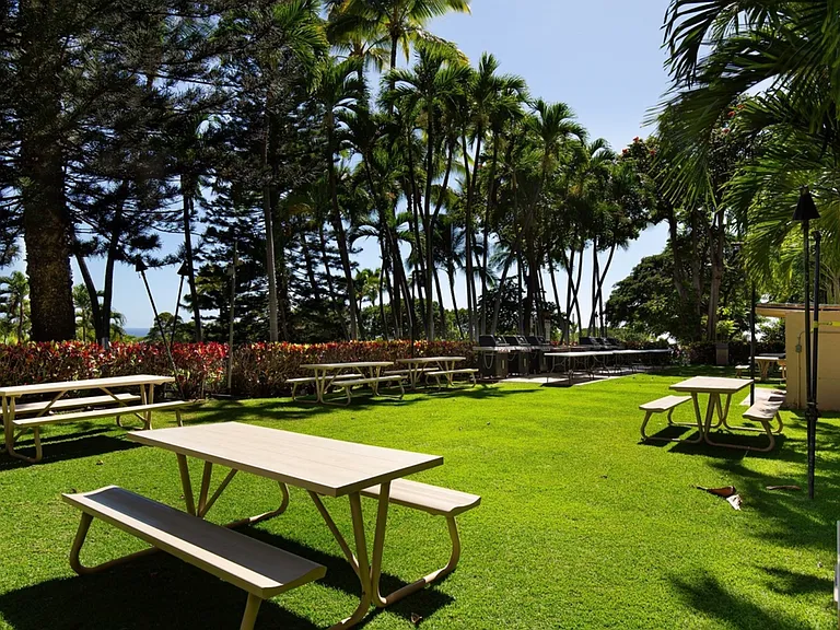 BBQ and Community Area