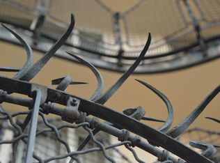 1599 Amphitheatre Pkwy, Mountain View, CA 94043