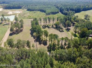 Sulphur Springs Rd LOT 1, Canton, MS 39046