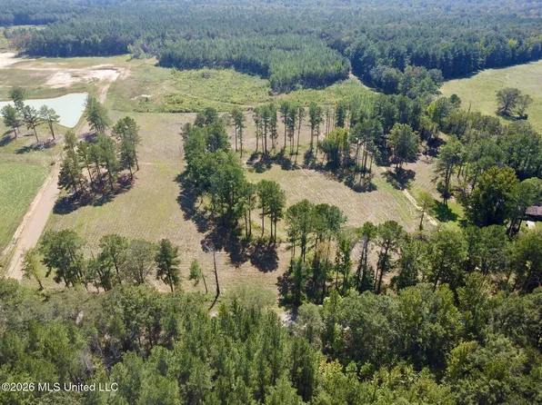 Sulphur Springs Rd Lot 1, Canton, MS 39046