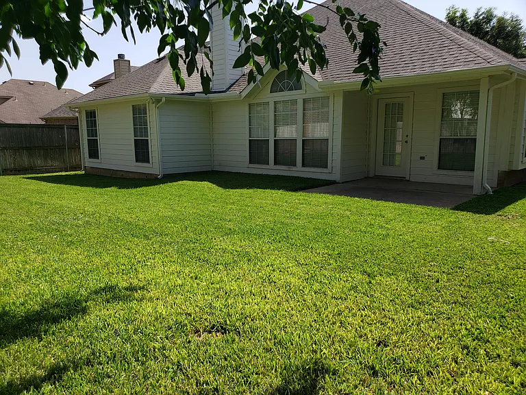Back of house 7/20/2026