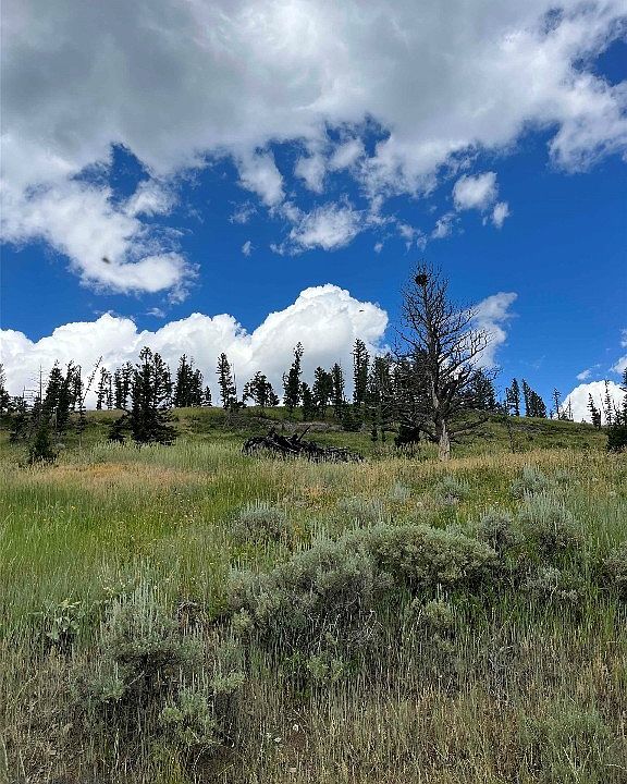 2nd St, Wilsall, MT 59086 Zillow