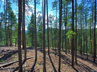 6824 Lynx Lair Rd, Evergreen, CO 80439