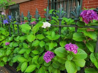 330 Hicks St #1A, Brooklyn, NY 11201
