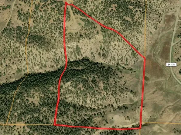 LOT 1009 County Road 41.7 La Garita, Weston, CO 81091