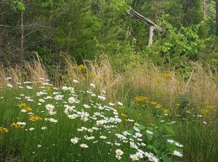 Rafter Rd, Tellico plains, TN 37385