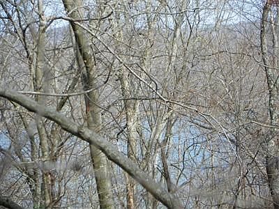 2nd image of 8697 S County Road 625 W