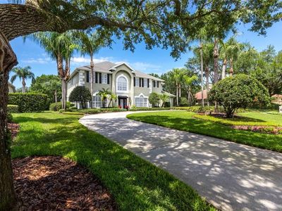 17006 Madres De Avila, Tampa, FL, 33613