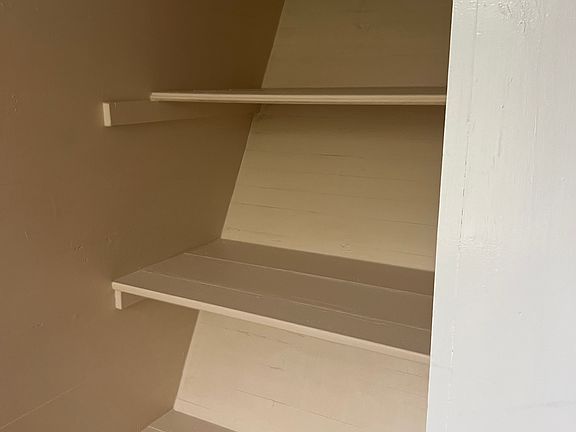 Lots of shelves in closet