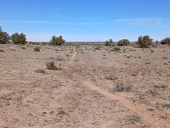 2nd image of Blackfoot Trl #72