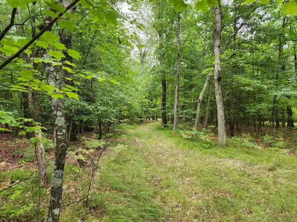 2048 E Oak St, Newaygo, MI 49337