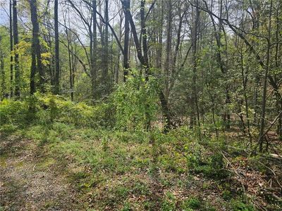 0 Spring Dr, North Wilkesboro, NC, 28659