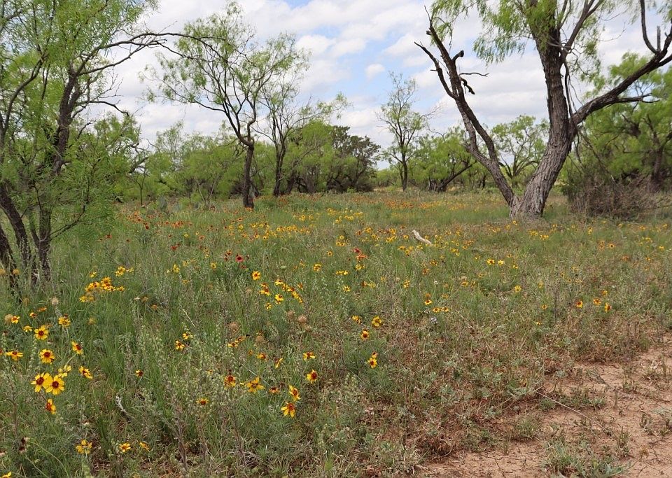 99999 Rr 11, Millersview, TX 76862 Zillow