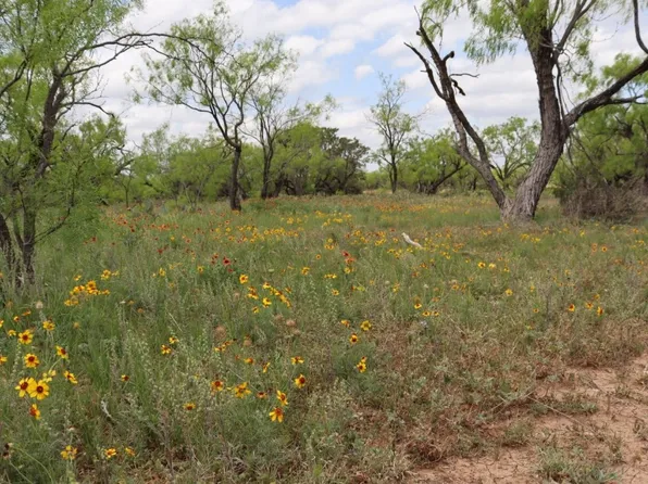 99999 Rr 11, Millersview, TX 76862