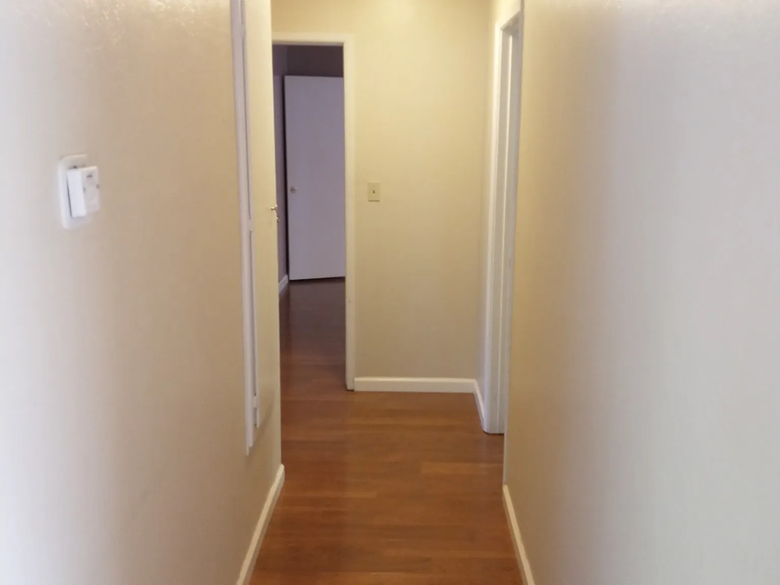 3 bed, 1400 sqft, $3,650 — Photo 3