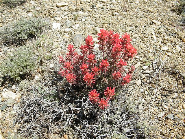 1st image of 1 Hwy 395