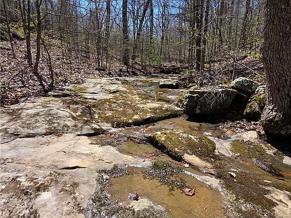 4th image of Mountain Springs Rd #1