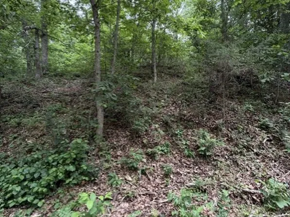 Islay Dr #32, Bella Vista, AR 72715