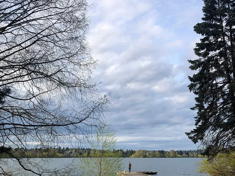8024 Green Lake Dr N — Photo 40