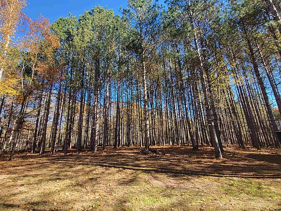 2nd image of 3385 Jones Rd