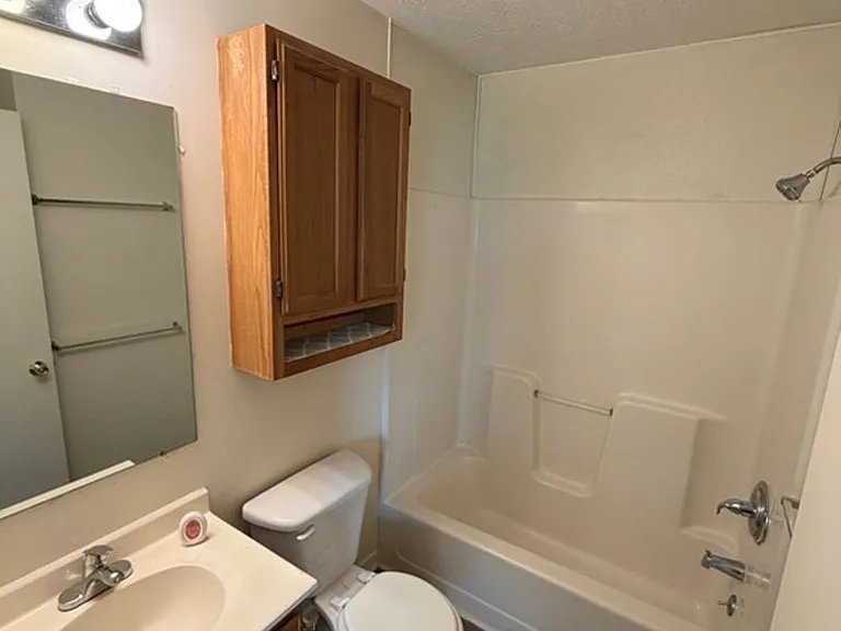 1533 Meadow Spring Dr #1539 — Photo 9