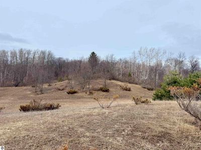0 W Trumbull Rd, Maple City, MI, 49664
