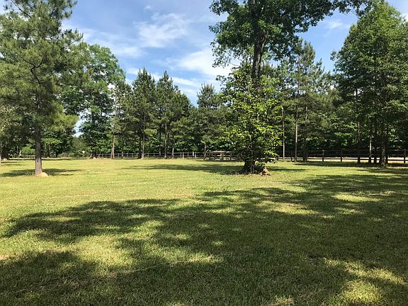 Beautiful, mature trees