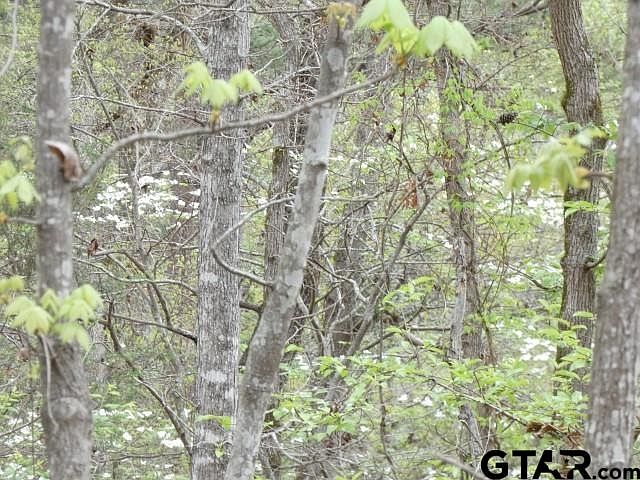 1st image of E Fm 323