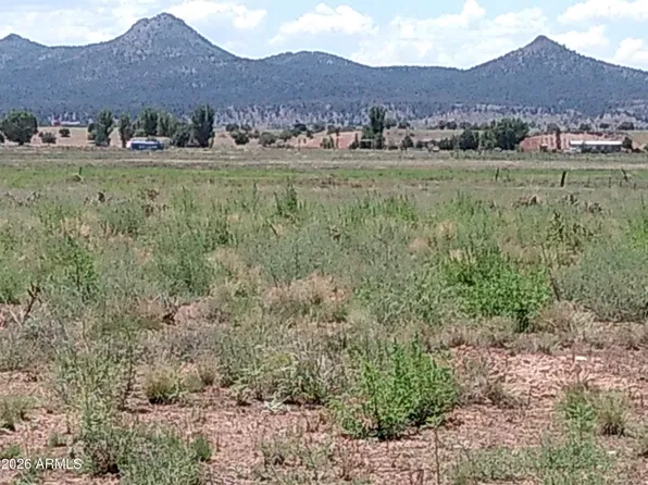 26250 N CHAMPAGNE Lane #-, Paulden, AZ 86334