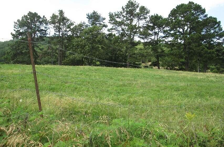 2nd image of 6088 River Rd