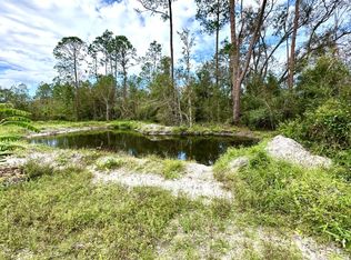 278 SW Twain Rd, Mayo, FL 32066