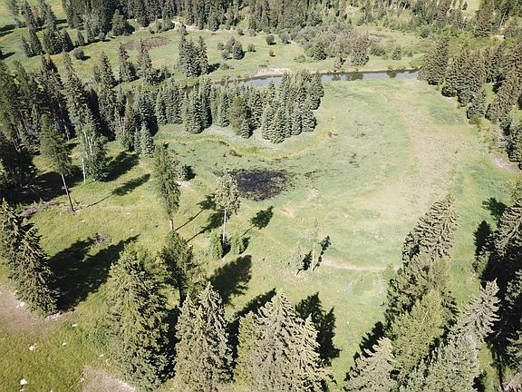 5th image of 259 Buckskin Run