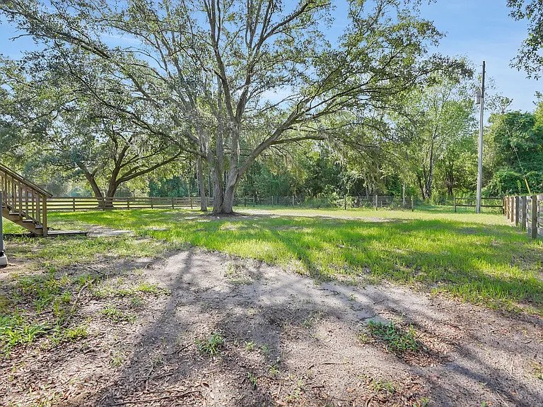 BACKYARD WITH SHADY OAK