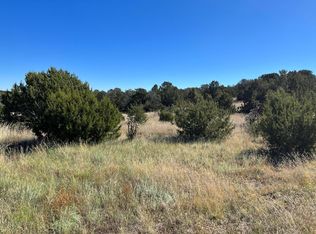 29 Palomino Rd, Edgewood, NM 87015