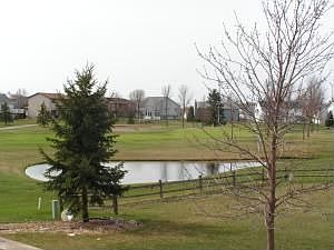 View From Deck