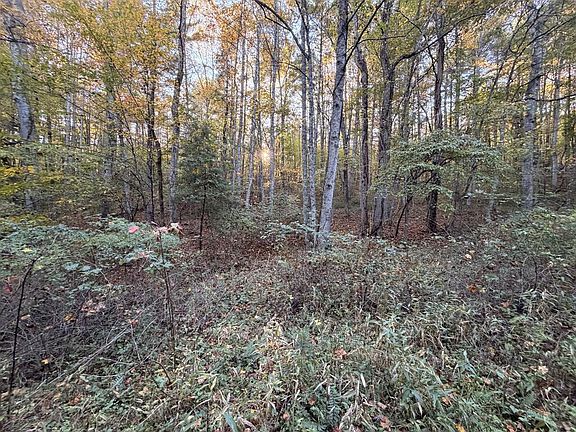 5th image of Wild Cherry Ln