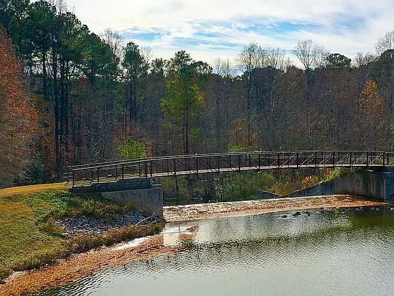 Spillway/bridge by home