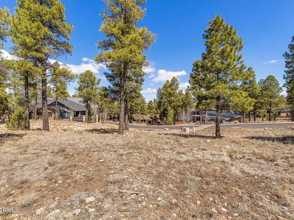 3401 S Brown Sage Court #261, Flagstaff, AZ 86005