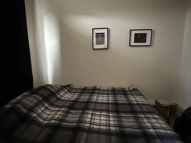 347 Elgin St #B — Photo 4