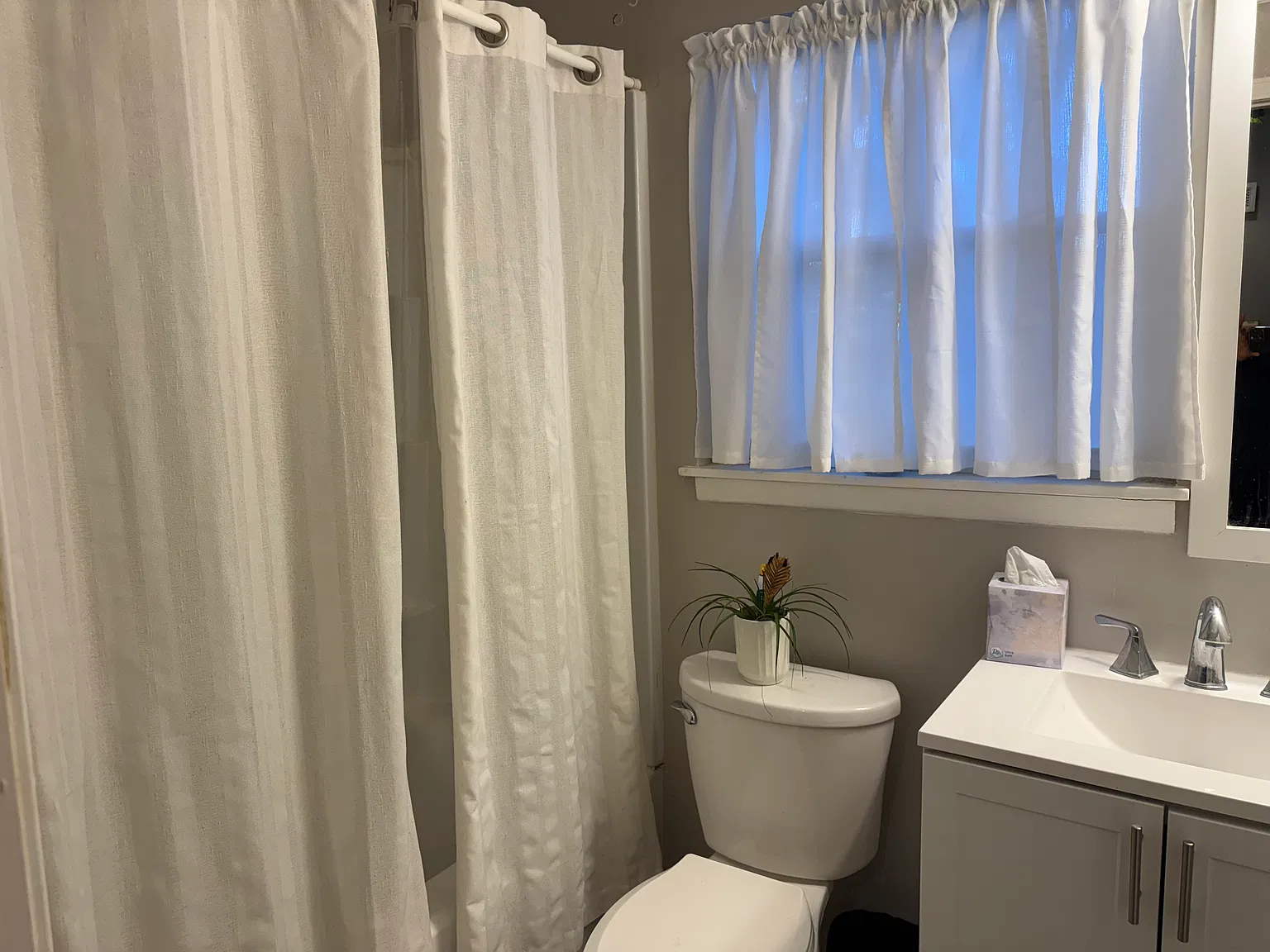 1 bed, 1250 sqft, $860 — Photo 2