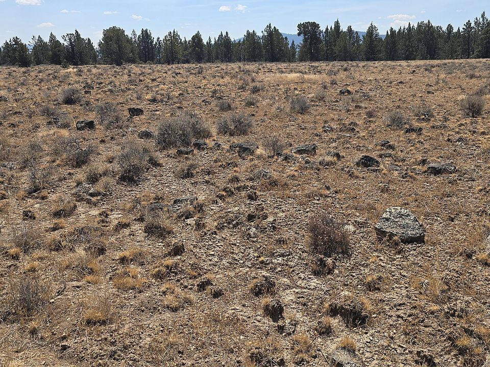 1st image of Rim Dr #1900