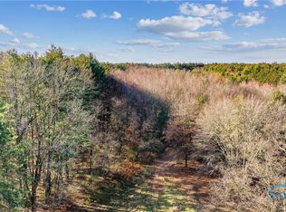 6498 Jeffers Rd, Swanton, OH 43558